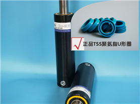 G1 500国际标准型产品可与TU500 RG500 GSE DNA BKB MQB替换